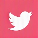 Icône Twitter